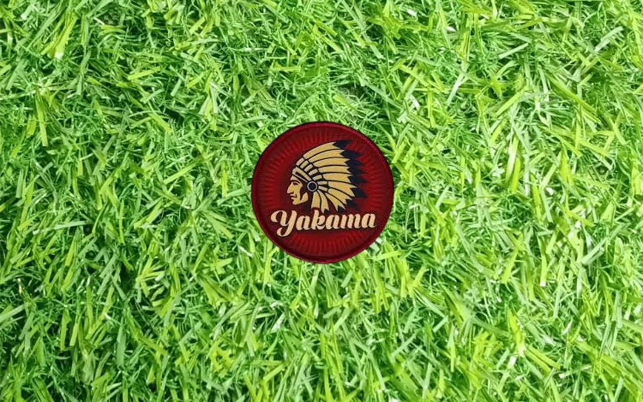 Product 46